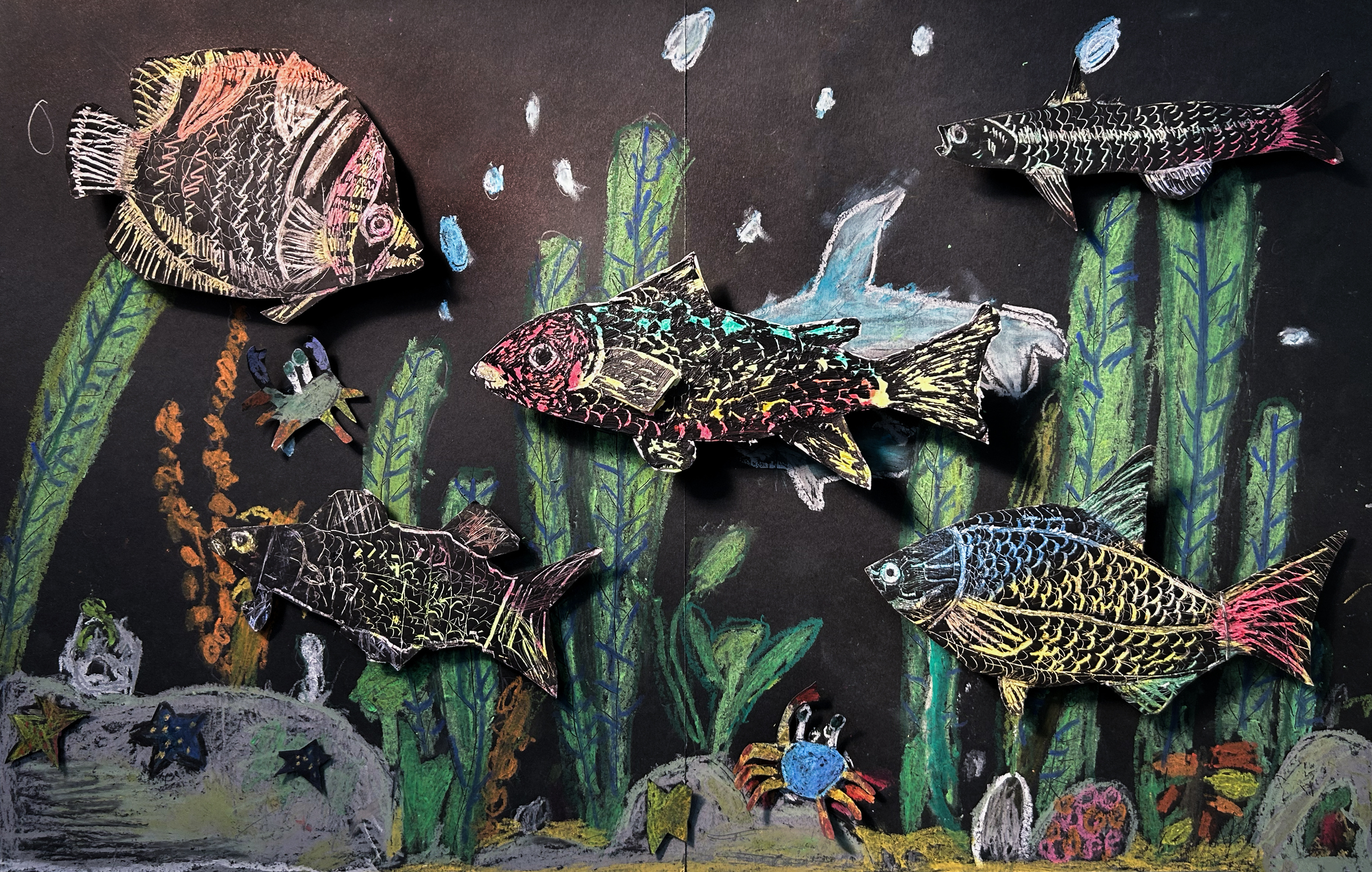 Under the sea
