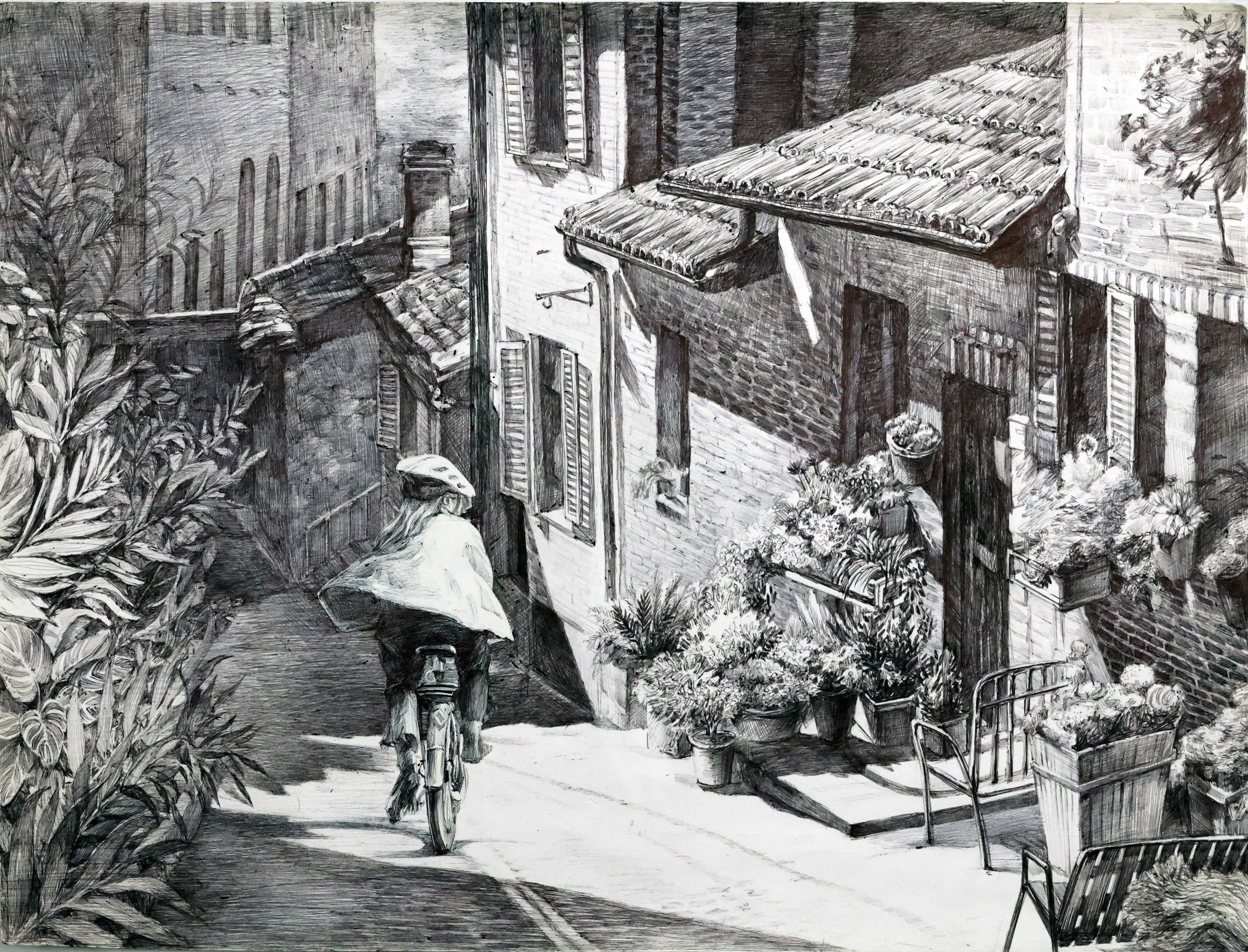 Pedaling Nostalgia