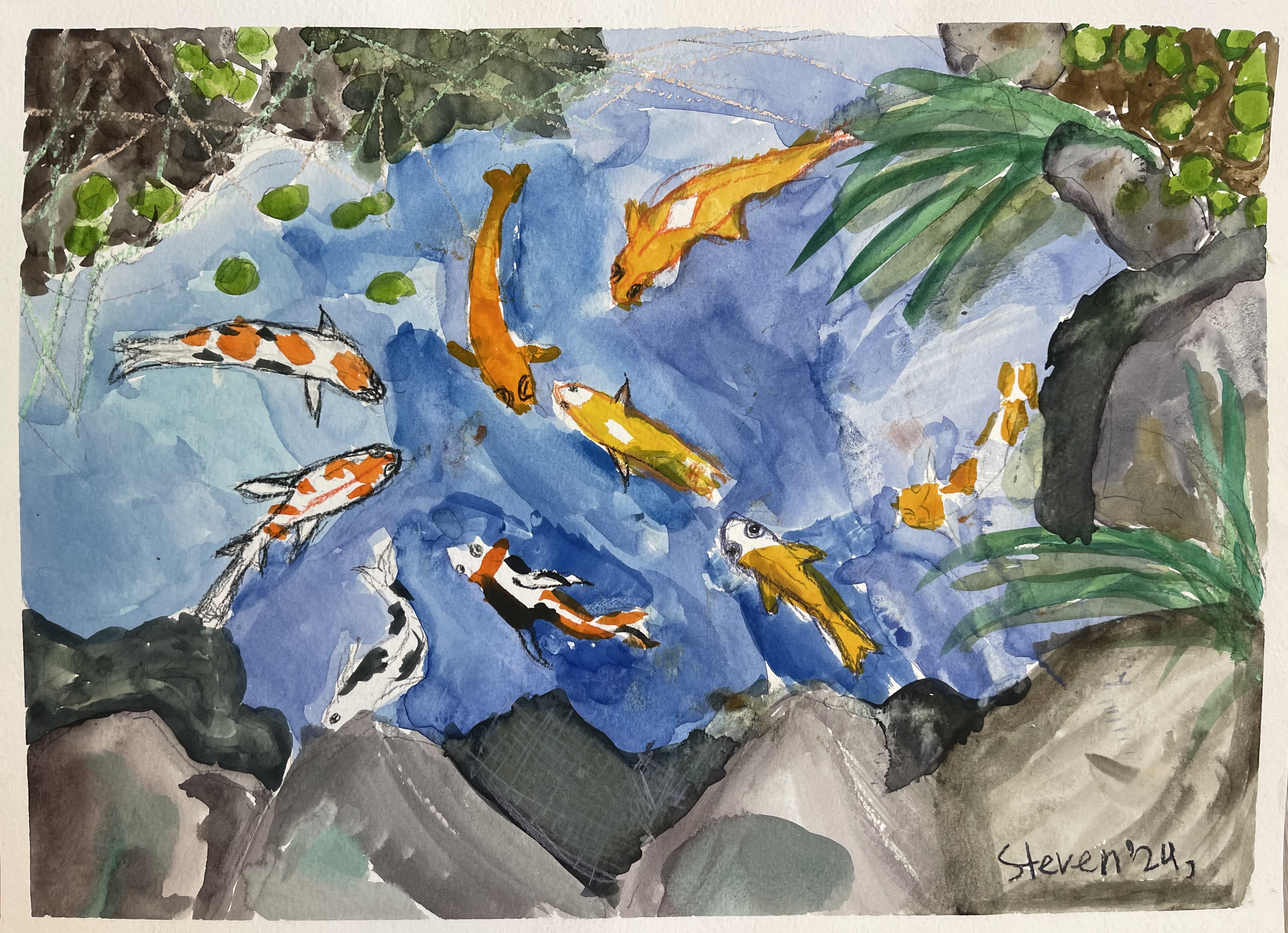 A pond