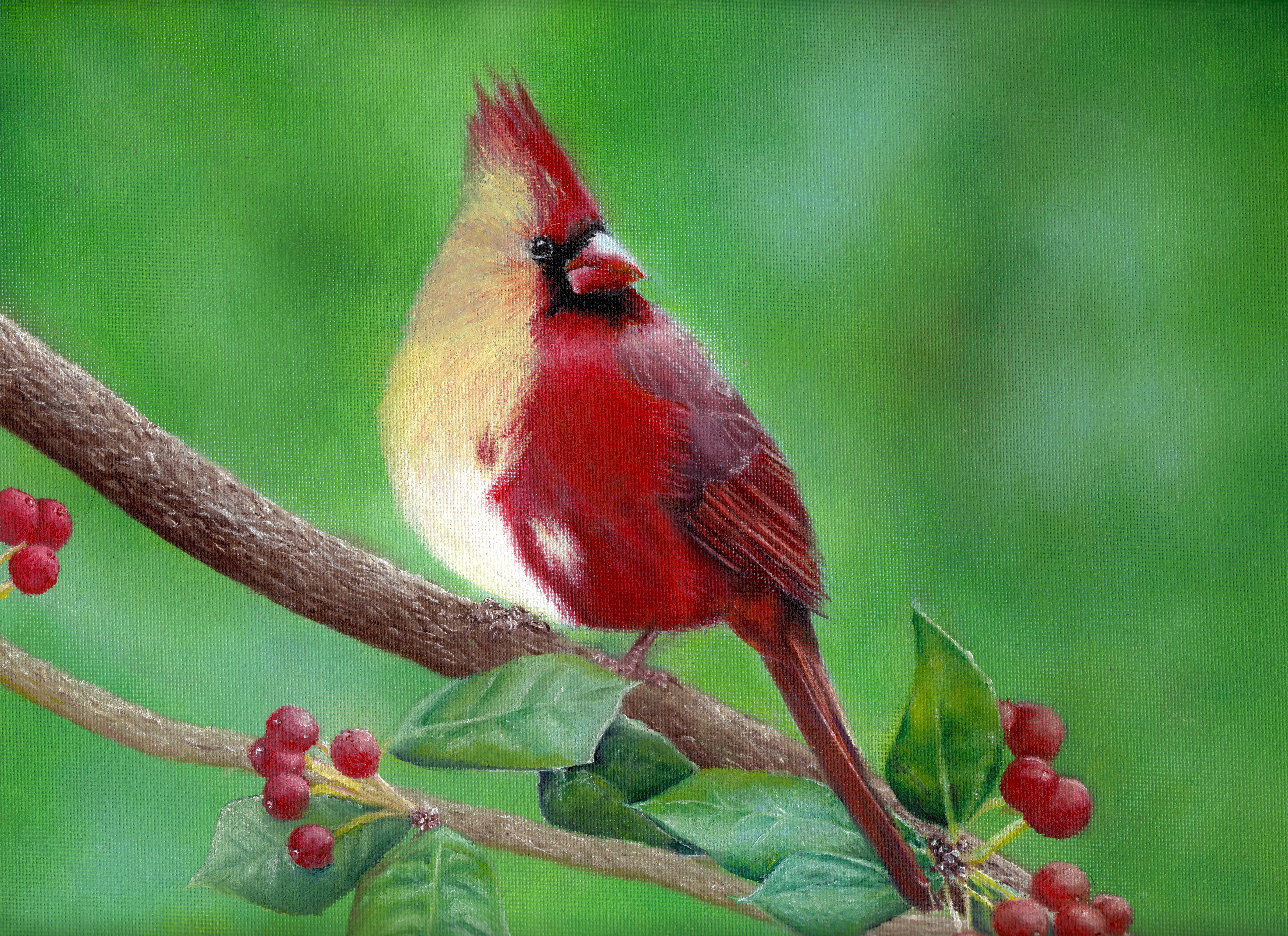 Two-Faced Cardinal