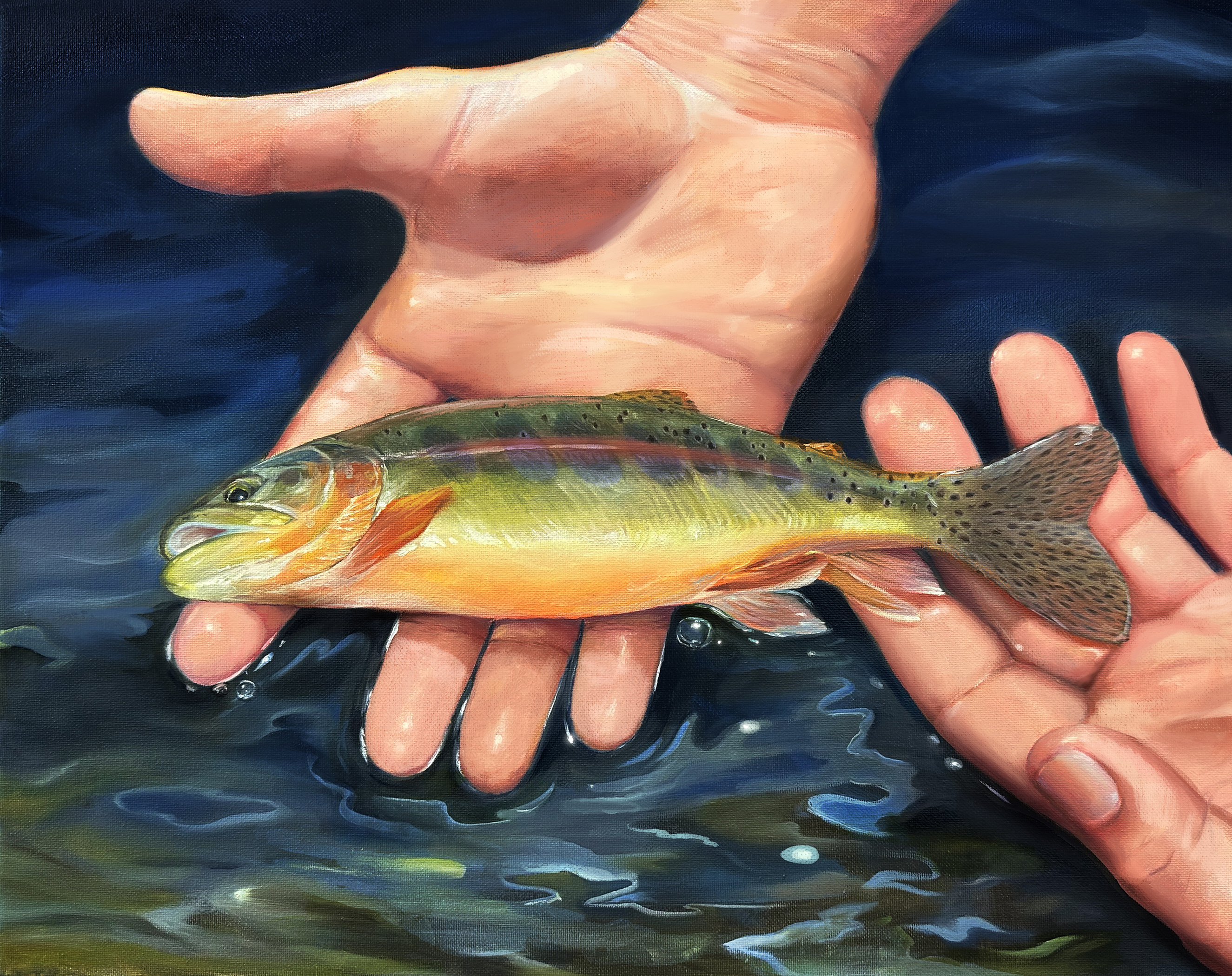 Fresh Catch