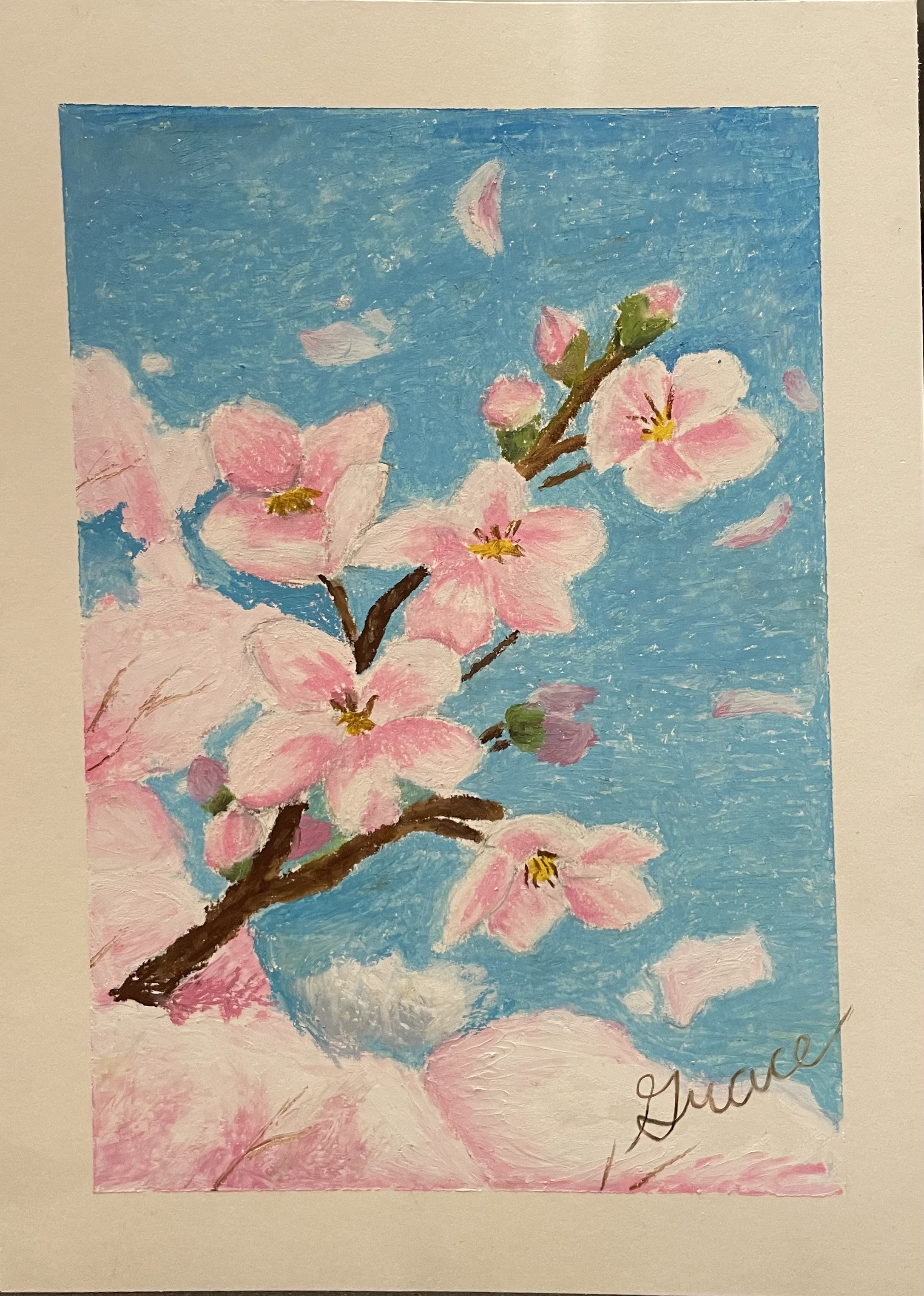 Japanese Cherry Blossom