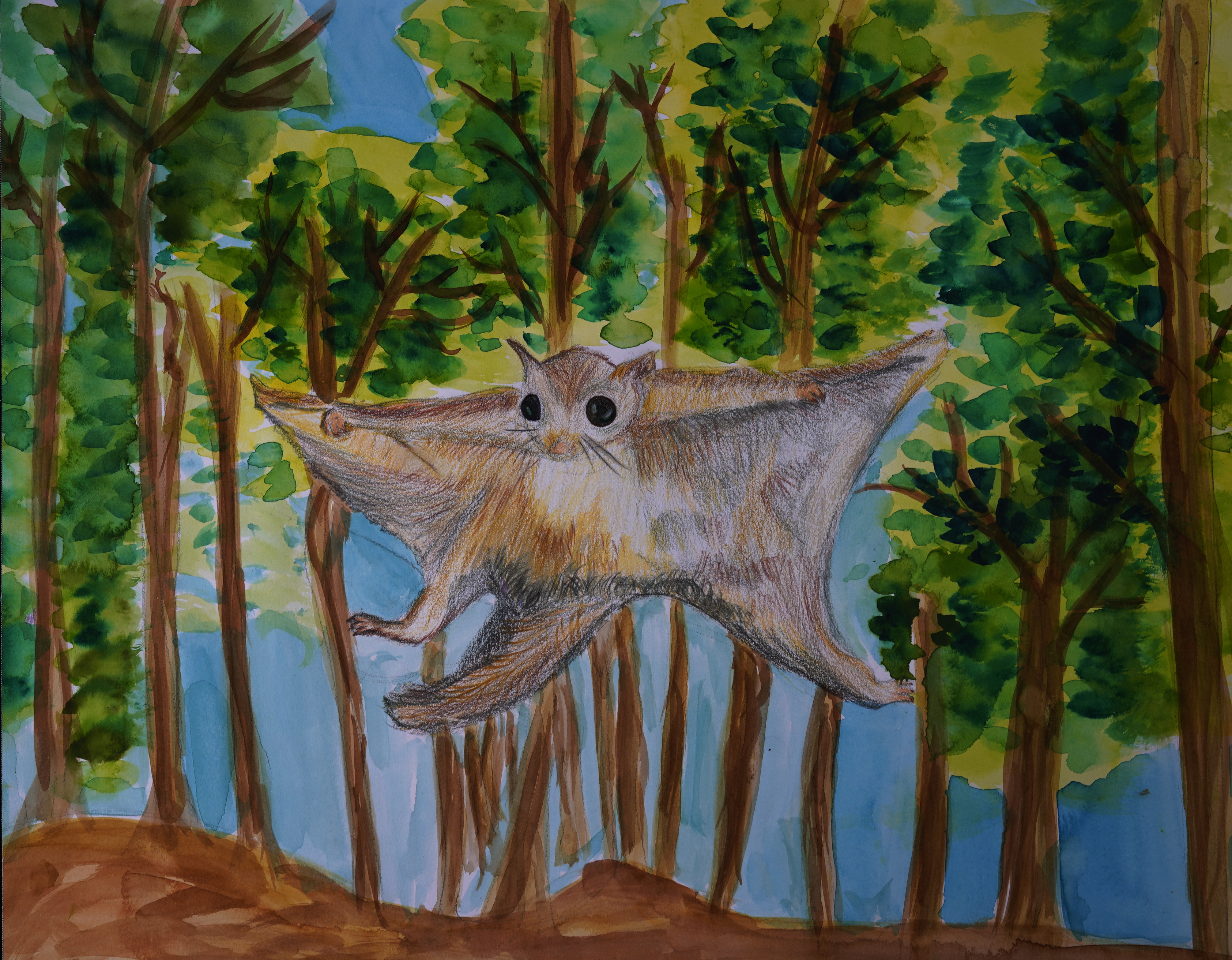 Wings of the Wildwood