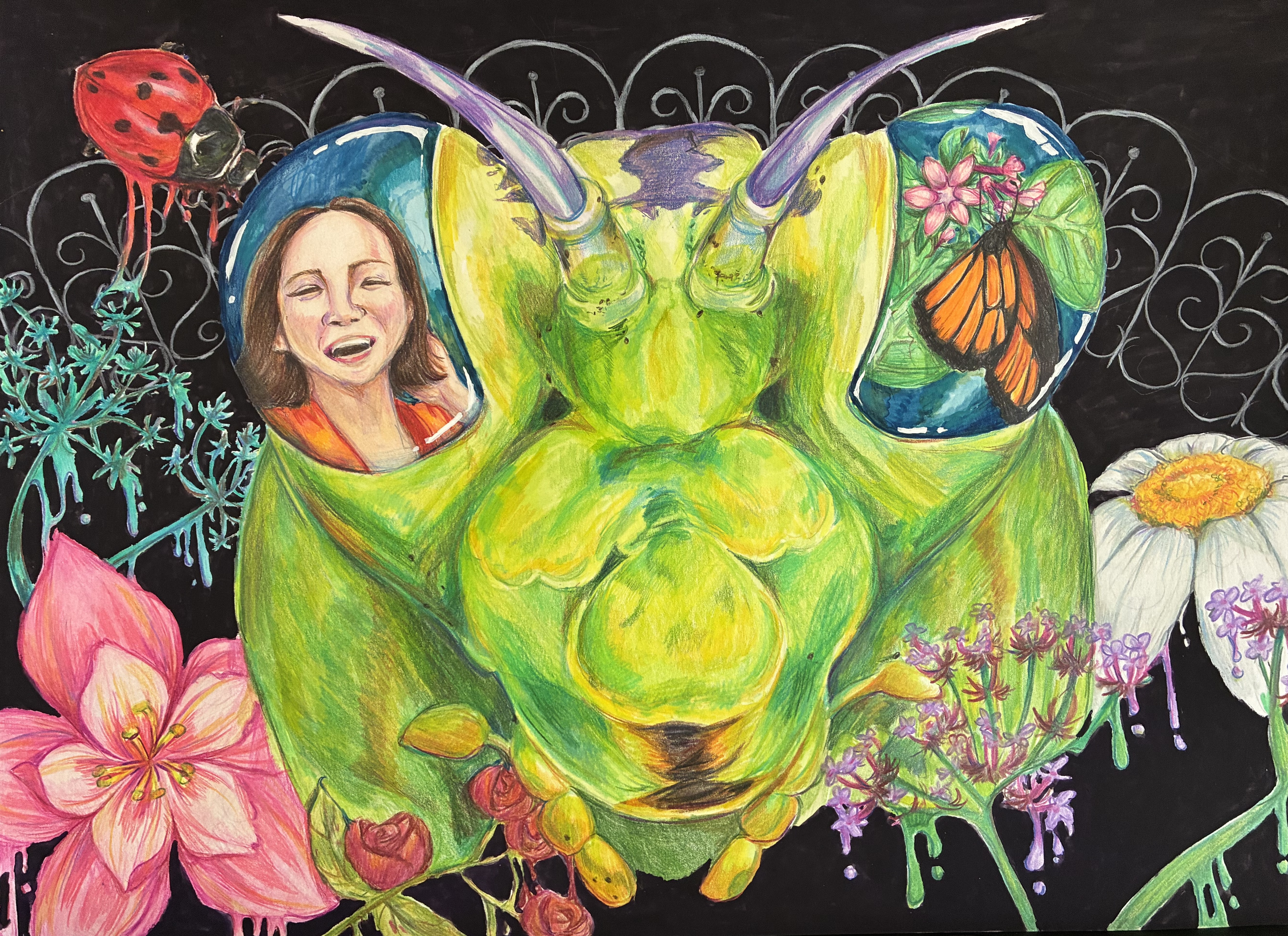 World Through A Mantis