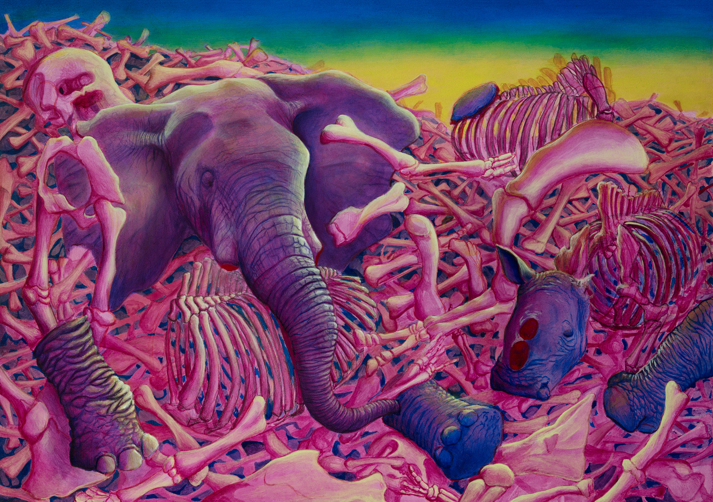 The Cost of Ivory
