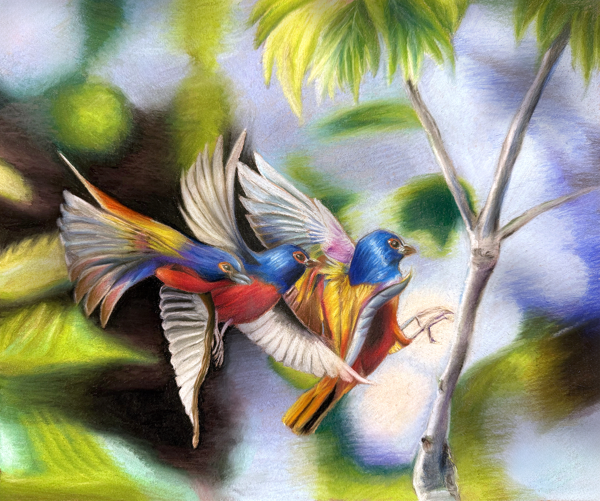 Nature's Hidden Jewel